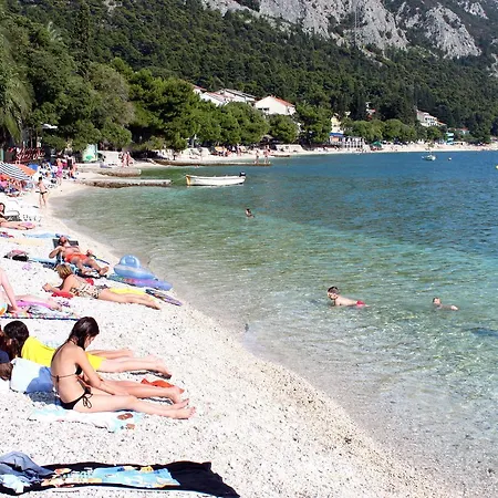 Apartment Gradac 5198c Gradac (Split-Dalmatia)